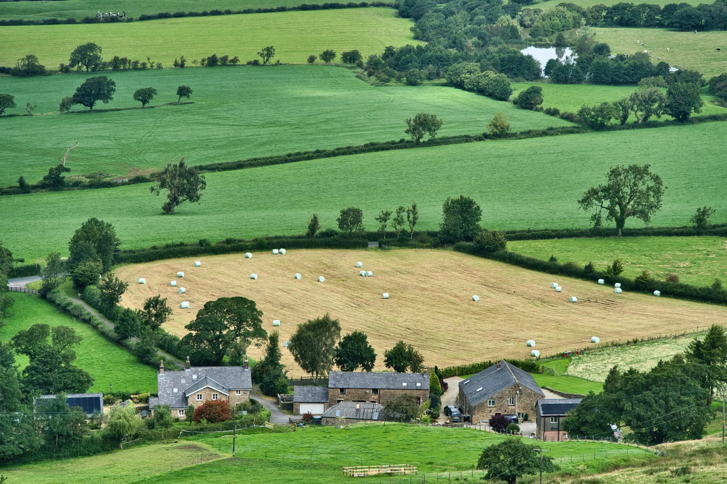 Ländliche Landschaft mit Feldern und Bauernhöfen